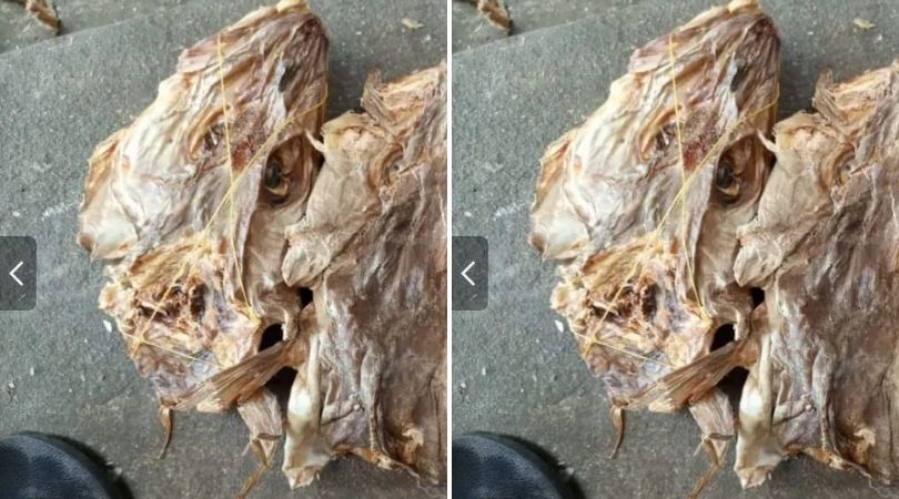 Stockfish Business in Nigeria