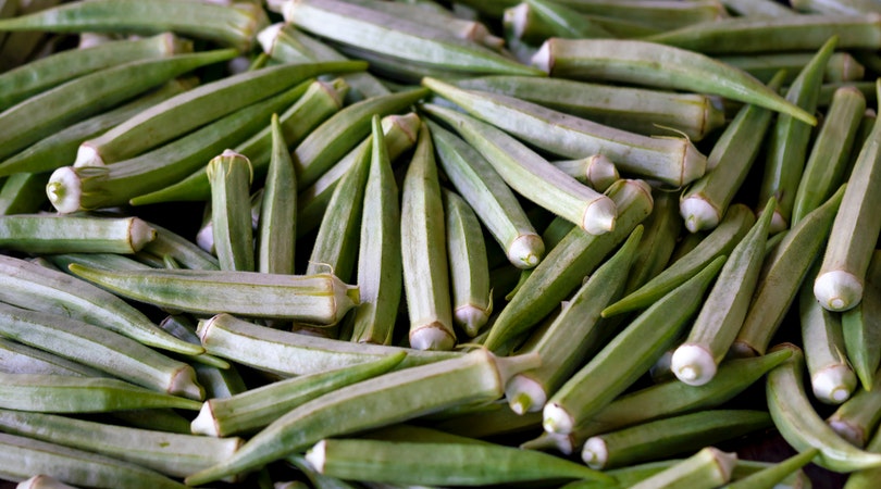 Okra Farming in Nigeria