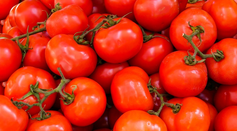 Tomato Farming in Nigeria