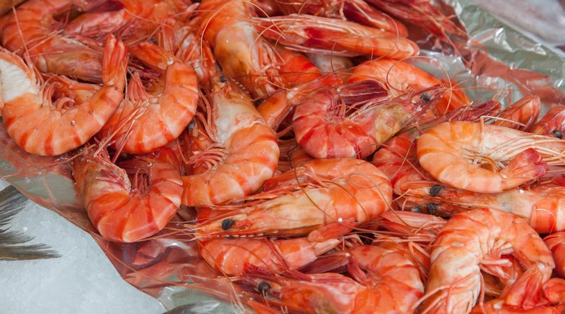 Crayfish Business in Nigeria