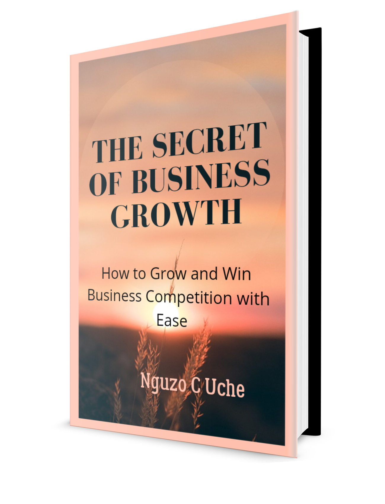 The Complete Guide To Sima Sistani'S Net Worth And Business Empire - hjjrh3v