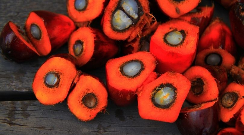 Palm Oil Business in Nigeria