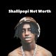 Shallipopi Net Worth